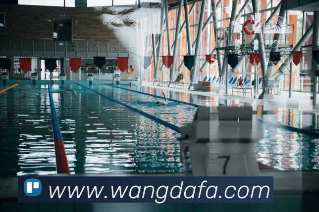 多媒体互动体验