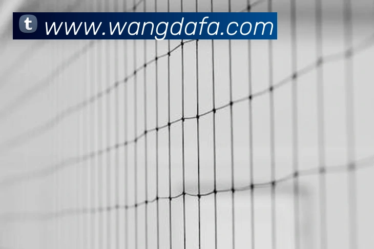 大发彩票APP 体育赛事宣传图